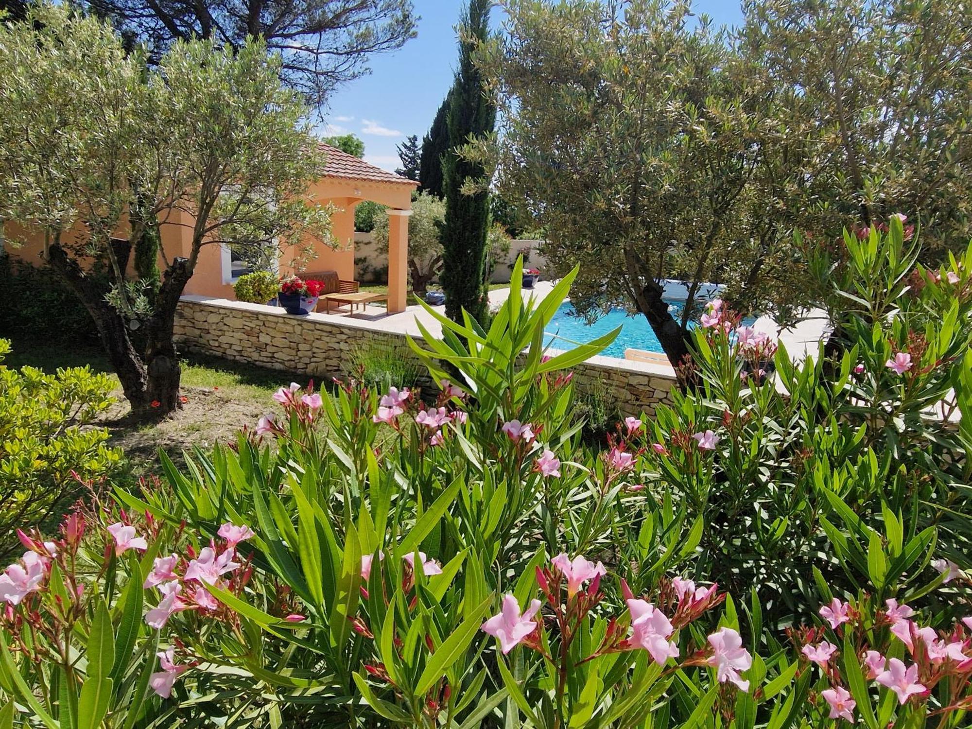 La Cigaliere Villa LʼIsle-sur-la-Sorgue Dış mekan fotoğraf