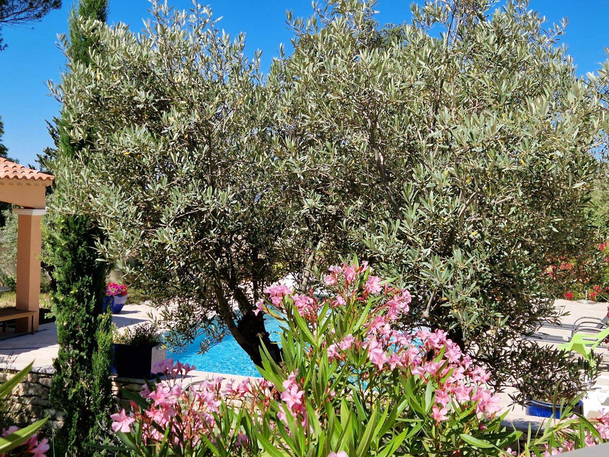 La Cigaliere Villa LʼIsle-sur-la-Sorgue Dış mekan fotoğraf